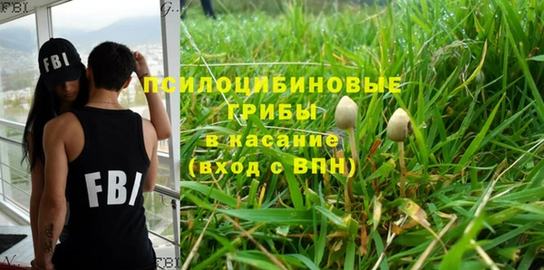 крисы Богородицк