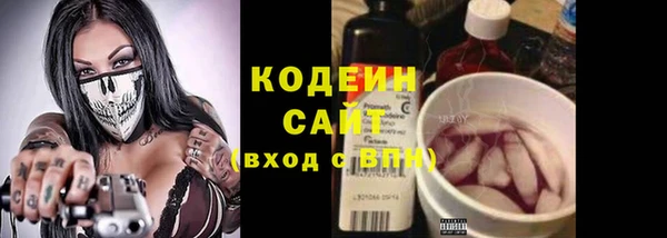 крисы Богородск