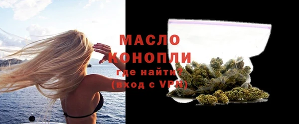 крисы Богородицк