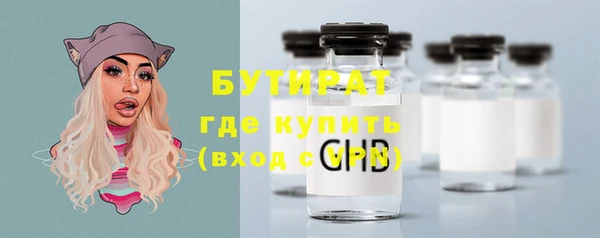 крисы Богородицк