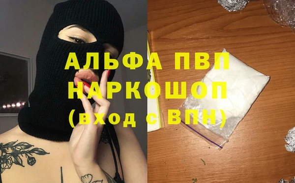 крисы Богородицк