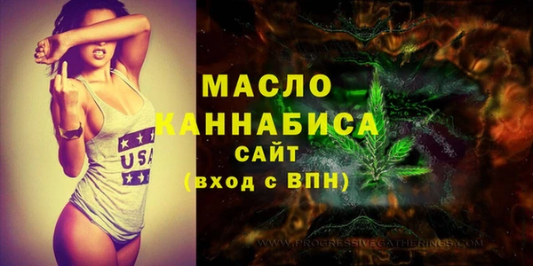 крисы Богородицк