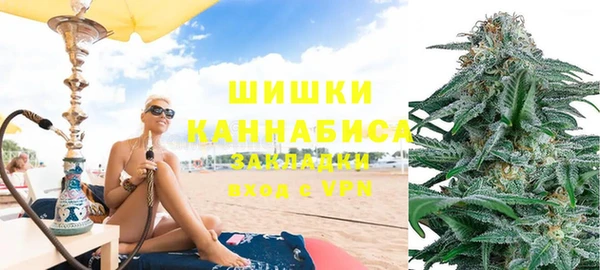 крисы Богородицк