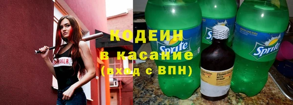 крисы Богородицк